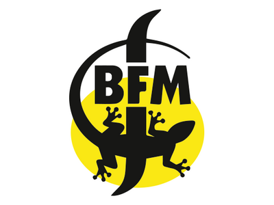 bfm-logo.png
